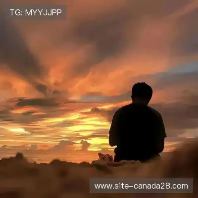 傅晨浩